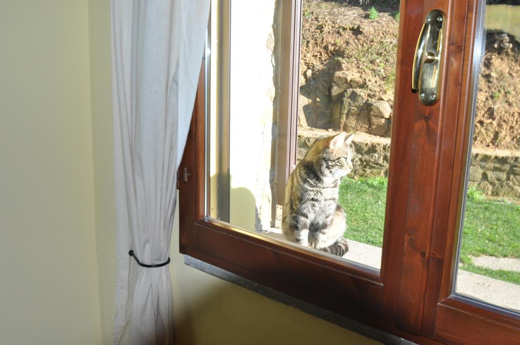 Willa Agriturismo Il Cerrosughero Scarlino Pokój zdjęcie