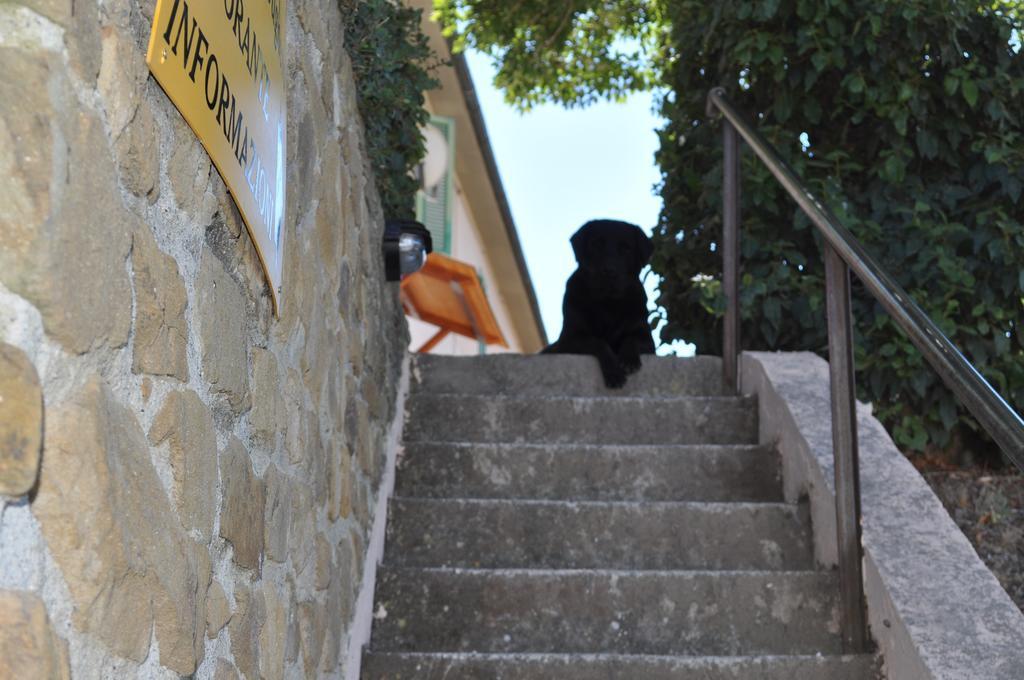 Willa Agriturismo Il Cerrosughero Scarlino Zewnętrze zdjęcie