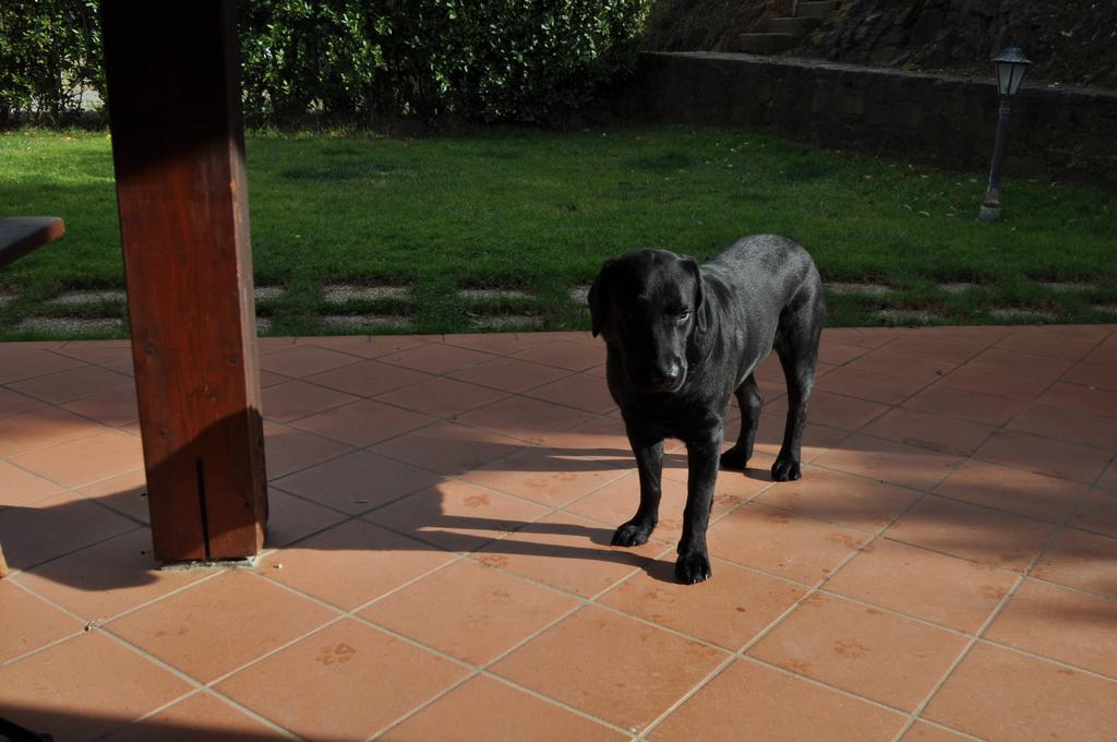 Willa Agriturismo Il Cerrosughero Scarlino Zewnętrze zdjęcie