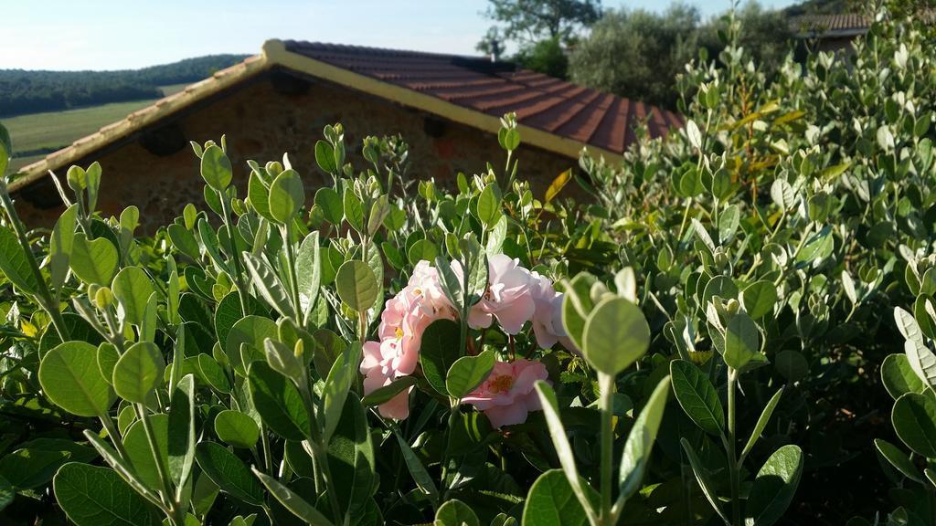 Willa Agriturismo Il Cerrosughero Scarlino Zewnętrze zdjęcie